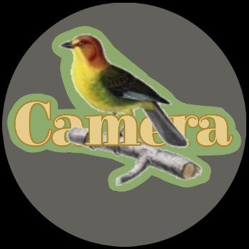 camera app icon