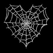 spider web