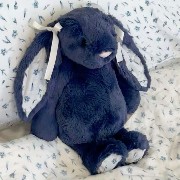 blue bunny 
