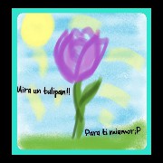 Tulipn 