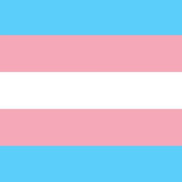 trans pride
