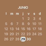 Calender Copy
