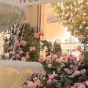 Beauty flowers pinks
