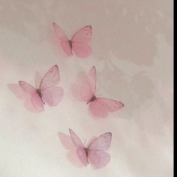 pink butterfly /3