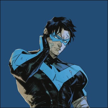 Nightwing 2