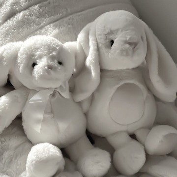 stuffed toys