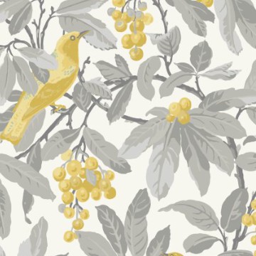 yellow_grey_1