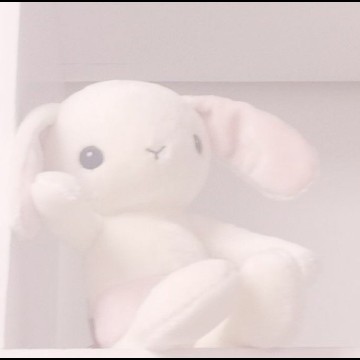 bunny