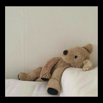 teddy