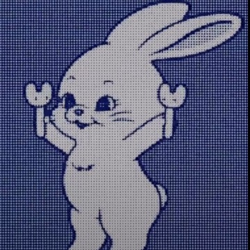 Bunny New Jeans :