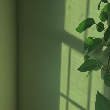 green widget