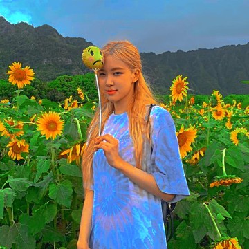 Rose small widget