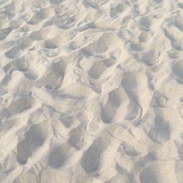 sandeu