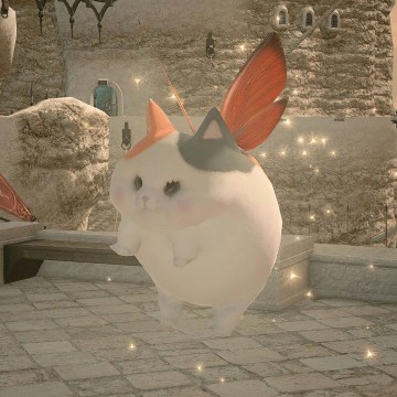 Cutee