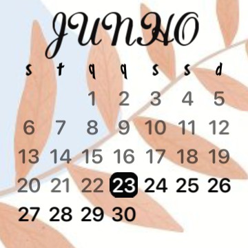 widget calendrio 