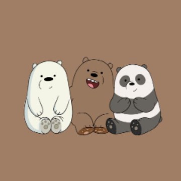 we bear bears wigdet #1