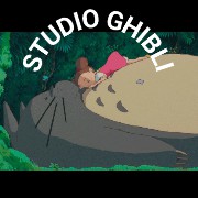 Totoro Widget