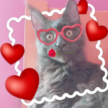 thats my cat