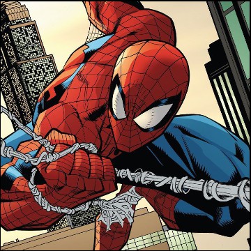 spider 