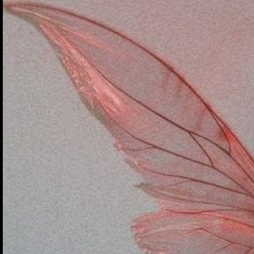 wings.red.fairies