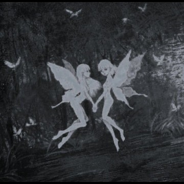 fairy