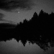 Forest Black