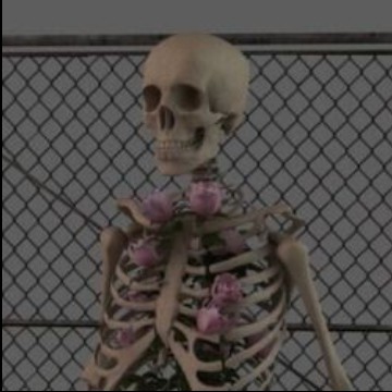 Skeleton 5