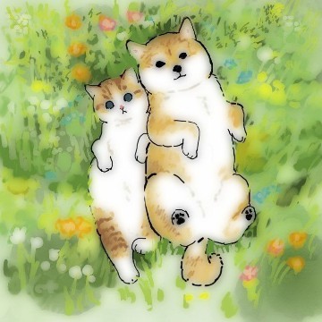 little cute