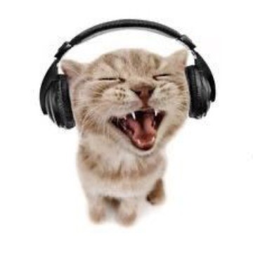 Cat w/ headphonezz