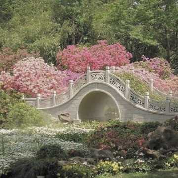 pink flowers bridge