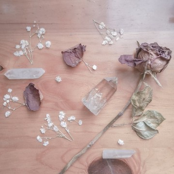 roses