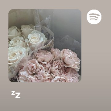 small spotify widget