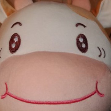 sapii