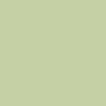 plain green icon
