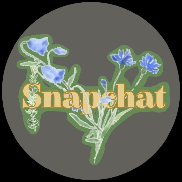 snapchat app icon