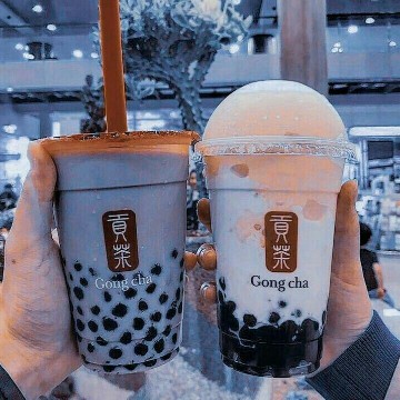 icon soft 