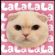 lalala cat