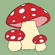 mushrooms w/ background 