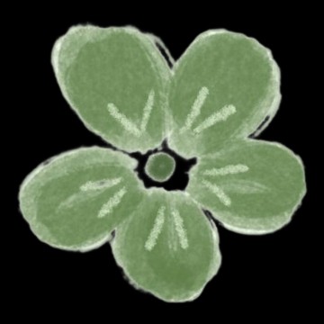 Green Flower
