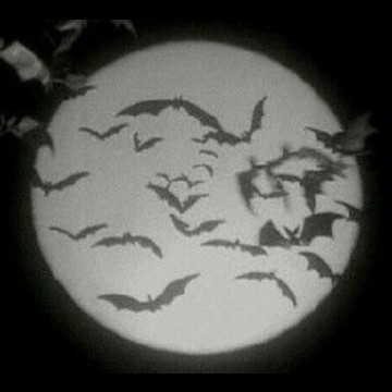 Bat Moon