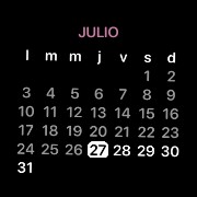 black calendar with pink details