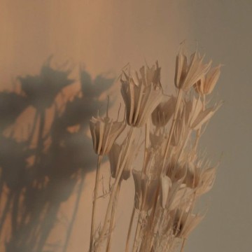 Beige Copy