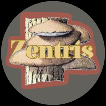 zentris app icon