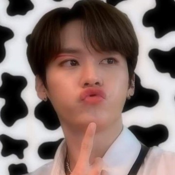 skz leeKnow