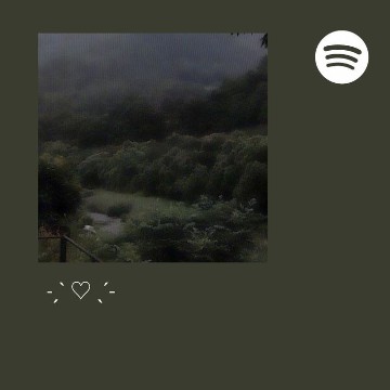 widget 