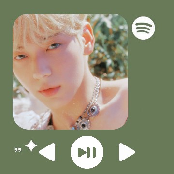 Spotify music reproductor