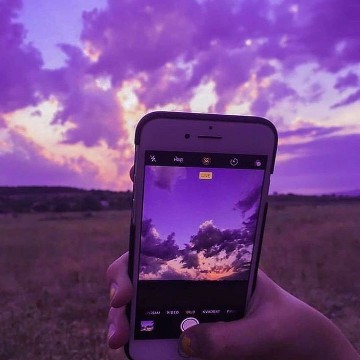 purple/violet widget 
