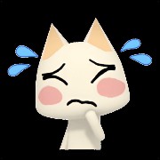 cat widget