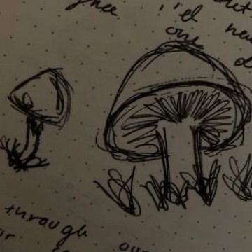 mushroom drawing