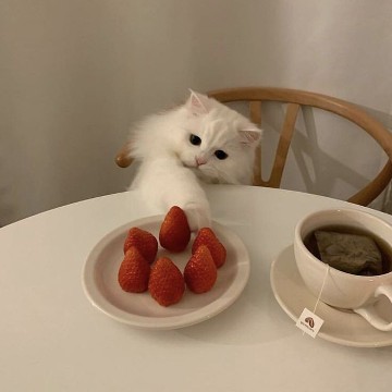 688